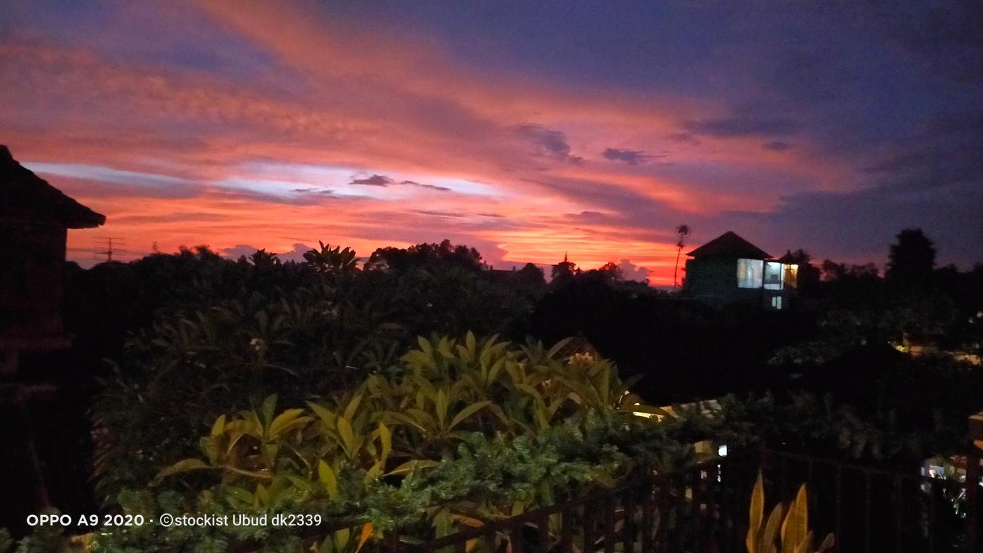 Danu House Ubud Eksteriør bilde