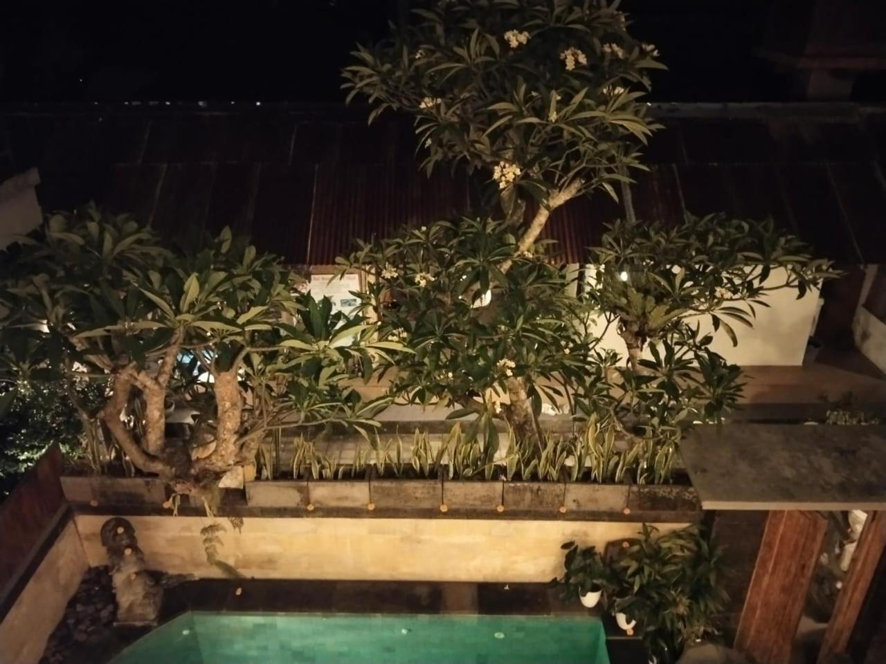 Danu House Ubud Rom bilde
